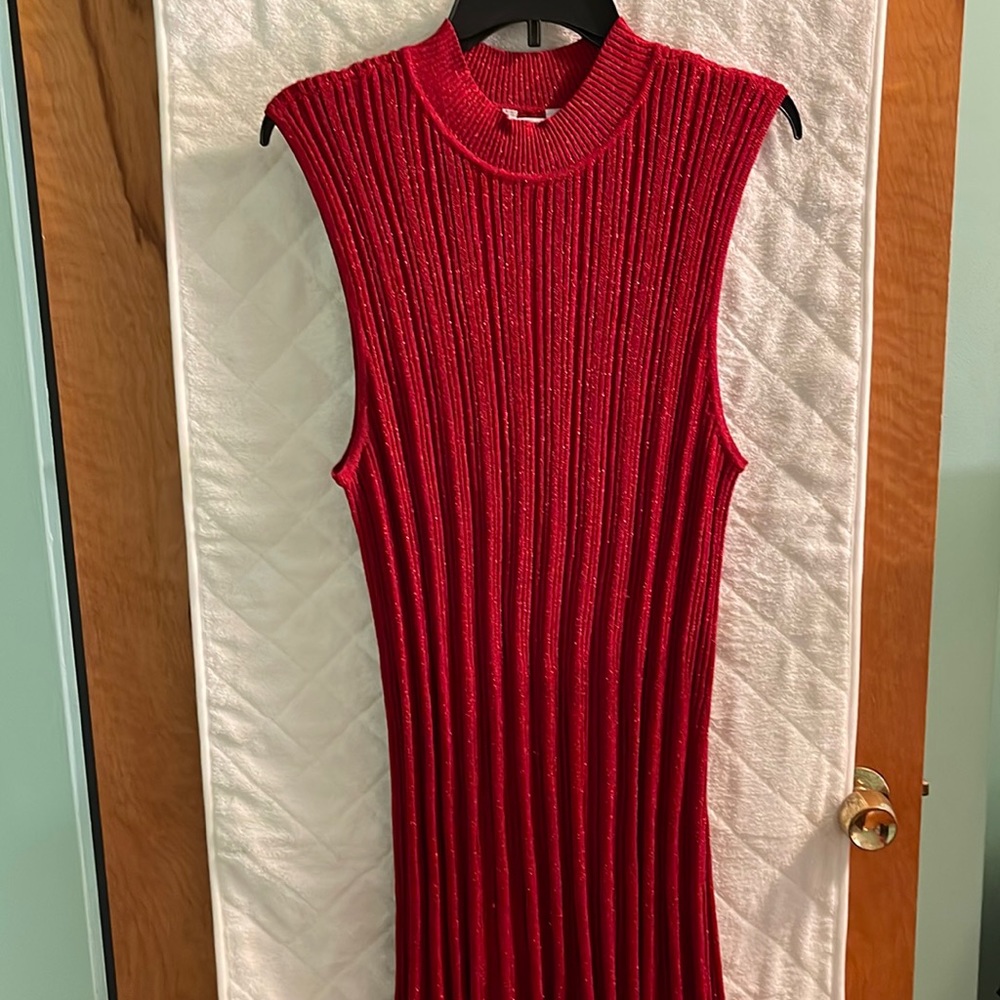 Glittery Dress, 2X - Non- Smoker